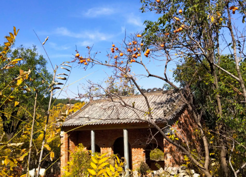 平陽網紅景點排行榜(平陽網紅打卡旅遊景點)-智慧景區電子票務系統