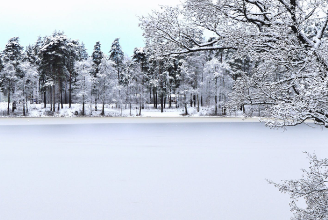 哈尔滨冰雪大世界门票的价格及游览攻略