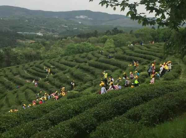 牡丹江特色旅游路线感受春日美好