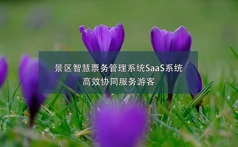 景区智慧票务管理系统SaaS系统：高效协同服务游客